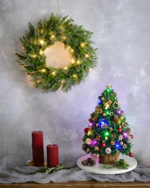 保鮮雪松聖誕樹 - 聖誕工作坊 - Image 2