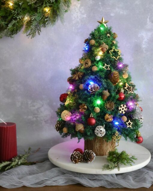 保鮮雪松聖誕樹 - 聖誕工作坊